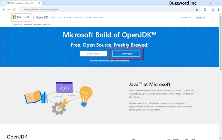 Microsoft Build of OpenJDKのダウンロード(2)